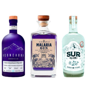 Pack Gins nacionales